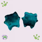 Grenouille Verte en Tissu